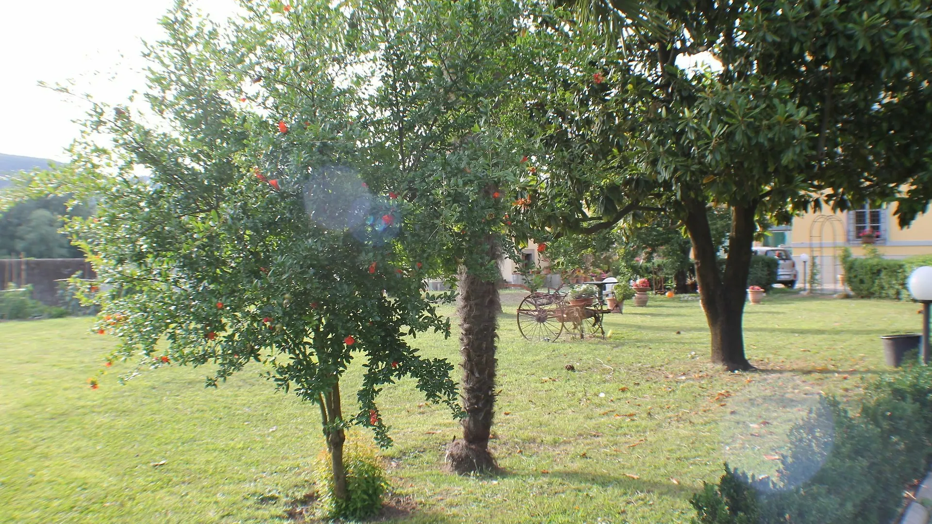 B&B Villa Pardi Lucca