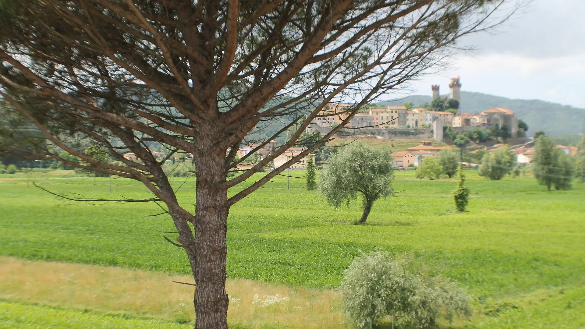 B&B Villa Pardi Lucca Bed & Breakfast